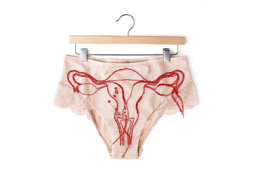 Anatomie de la femme