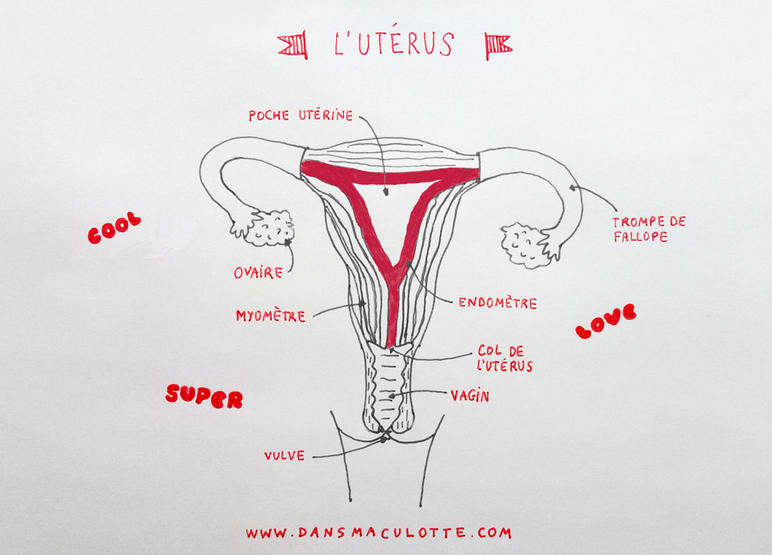 Premières règles : cycle menstruel